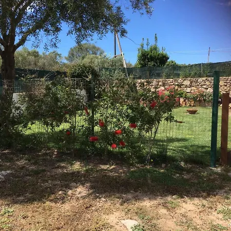 Azienda Multifunzionale S'ozastro Apartment Marinella (Sardinia)