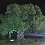 Azienda Multifunzionale S'ozastro דירה