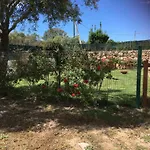 Azienda Multifunzionale S'ozastro דירה מרינלה