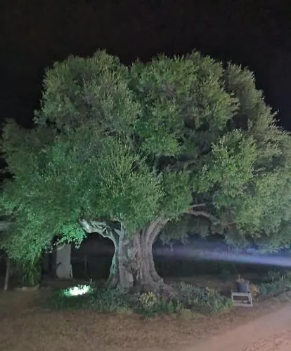 Azienda Multifunzionale S'ozastro Apartment